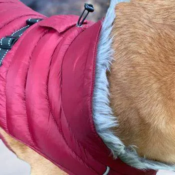 Alpine Extreme Weather Puffer Dog Coat - Burgundy