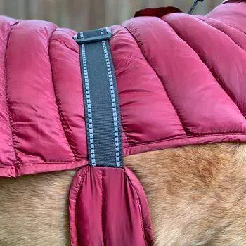 Alpine Extreme Weather Puffer Dog Coat - Burgundy