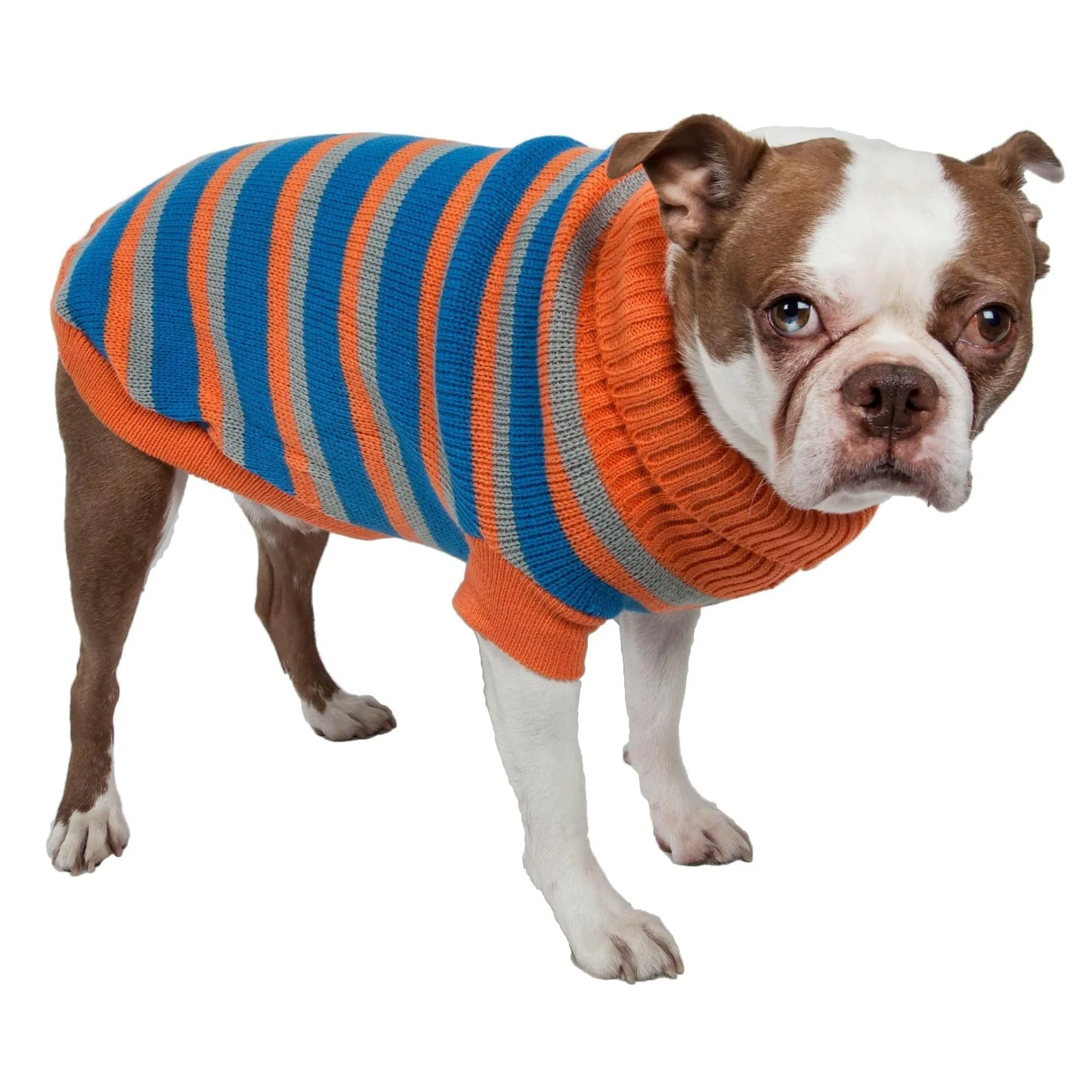 Cozy Dog Sweater Fashion