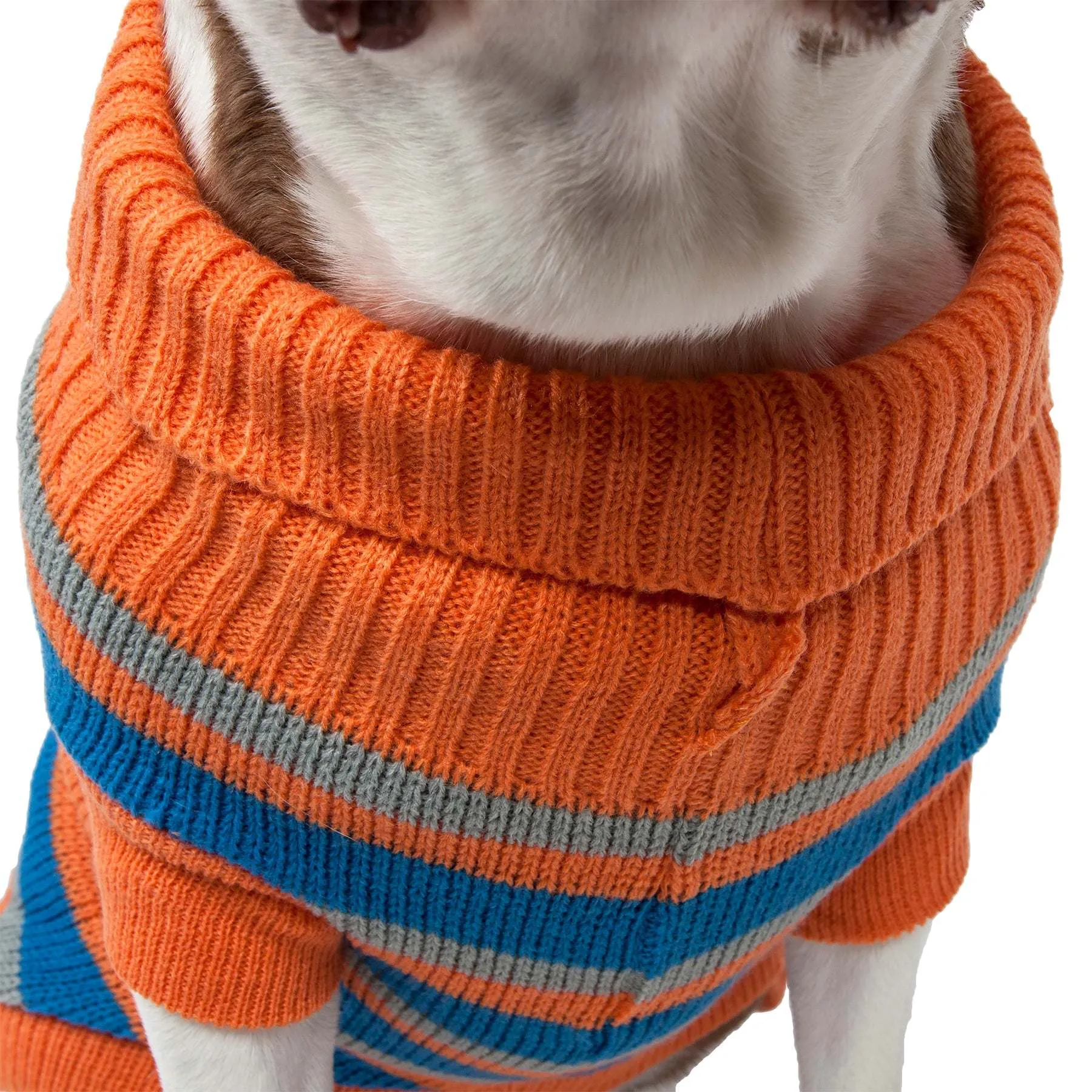 Cozy Dog Sweater Fashion