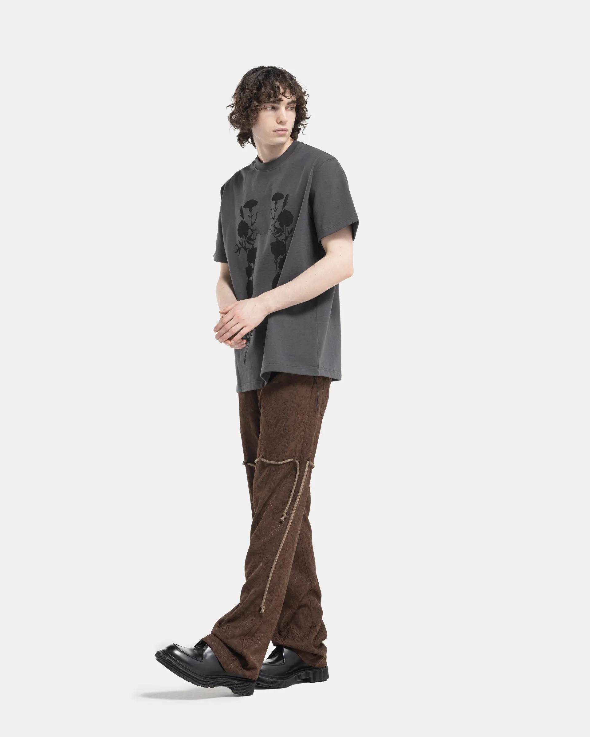 Dress Pants in Brown