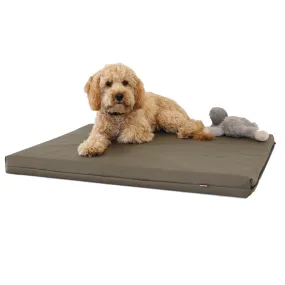 Memory Foam Dog Bed