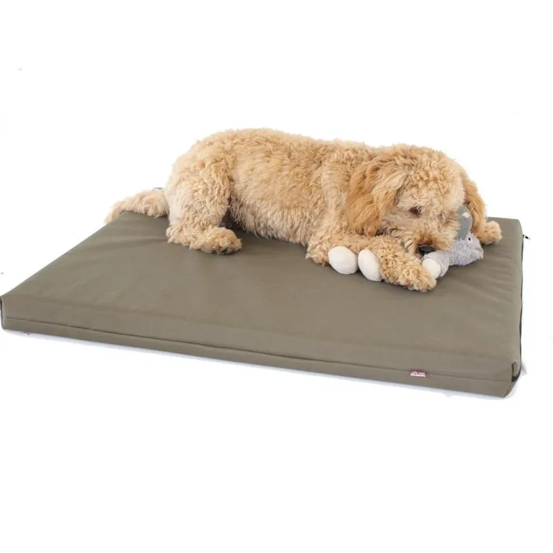 Memory Foam Dog Bed