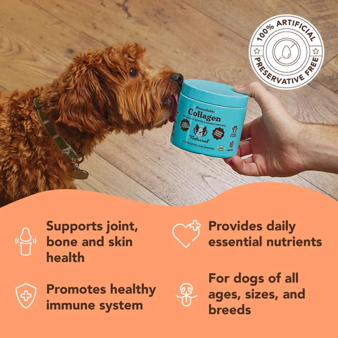 Natural Dog Company Collagen Supplement for Dogs