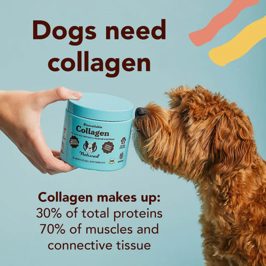 Natural Dog Company Collagen Supplement for Dogs