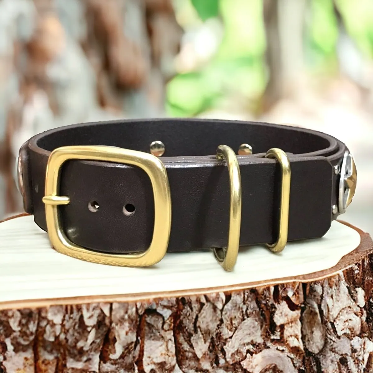 Personalized Leather Dog Collar Nashville