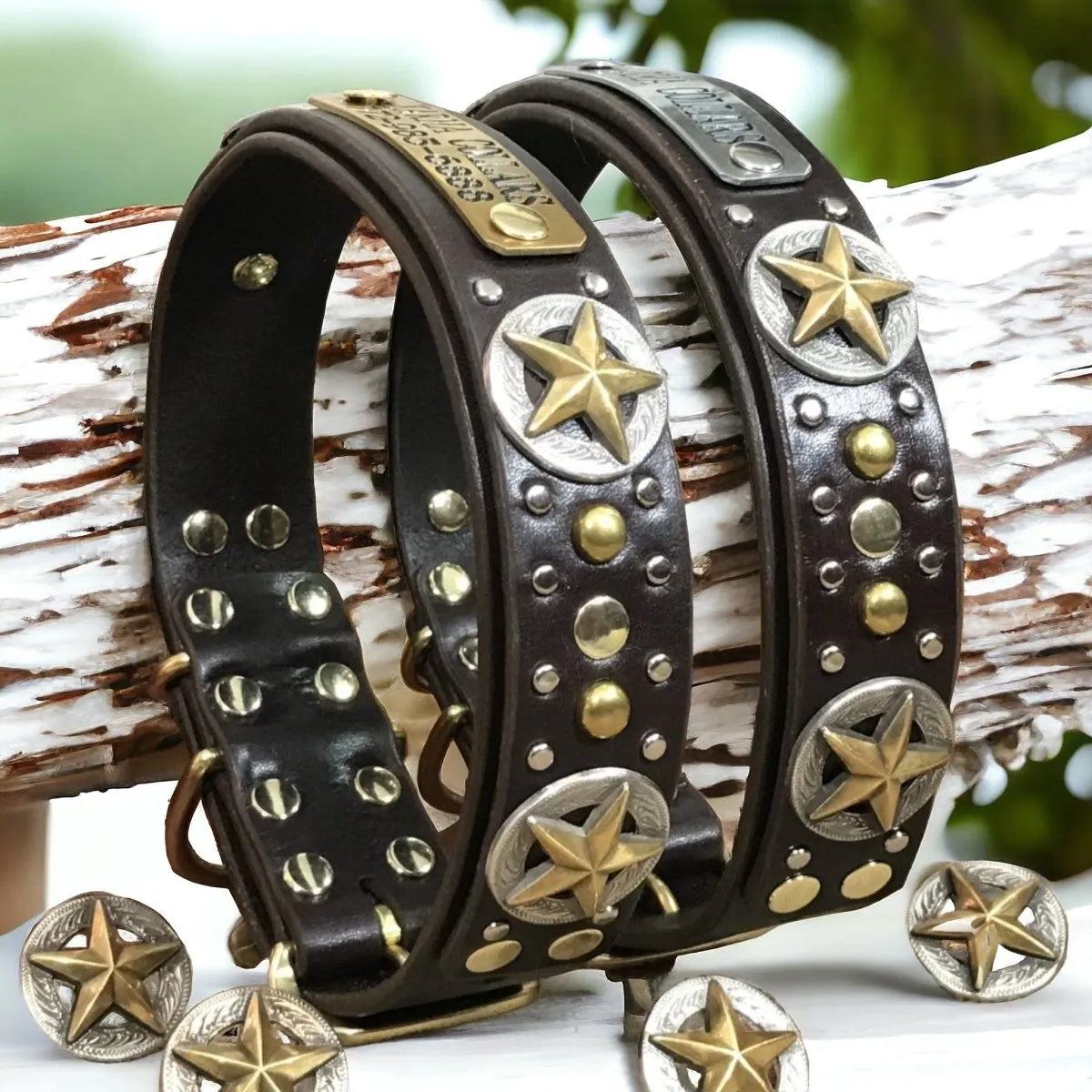 Personalized Leather Dog Collar Nashville