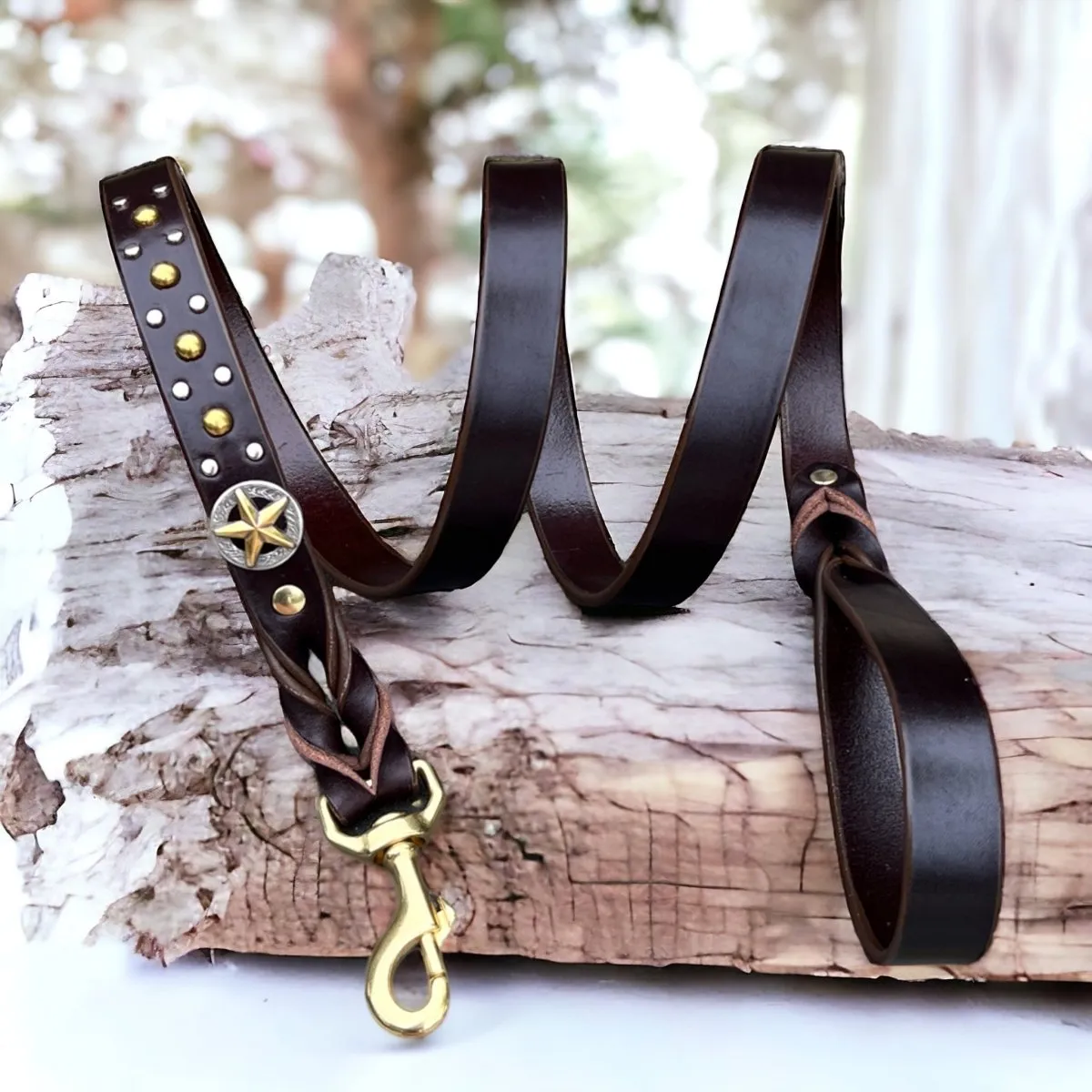 Personalized Leather Dog Collar Nashville