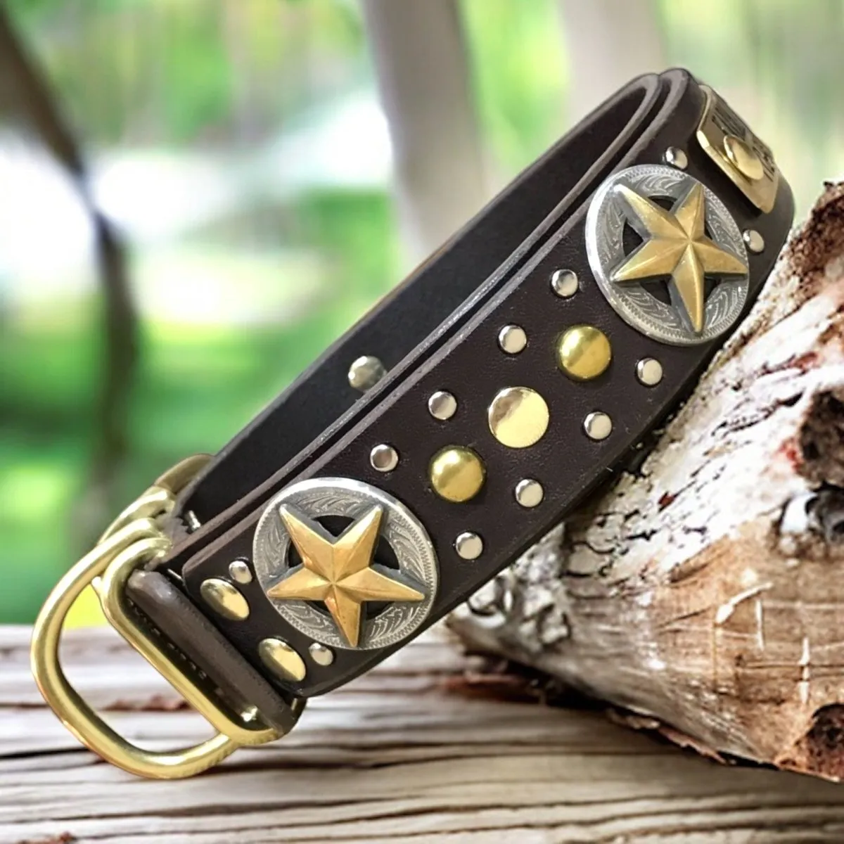 Personalized Leather Dog Collar Nashville