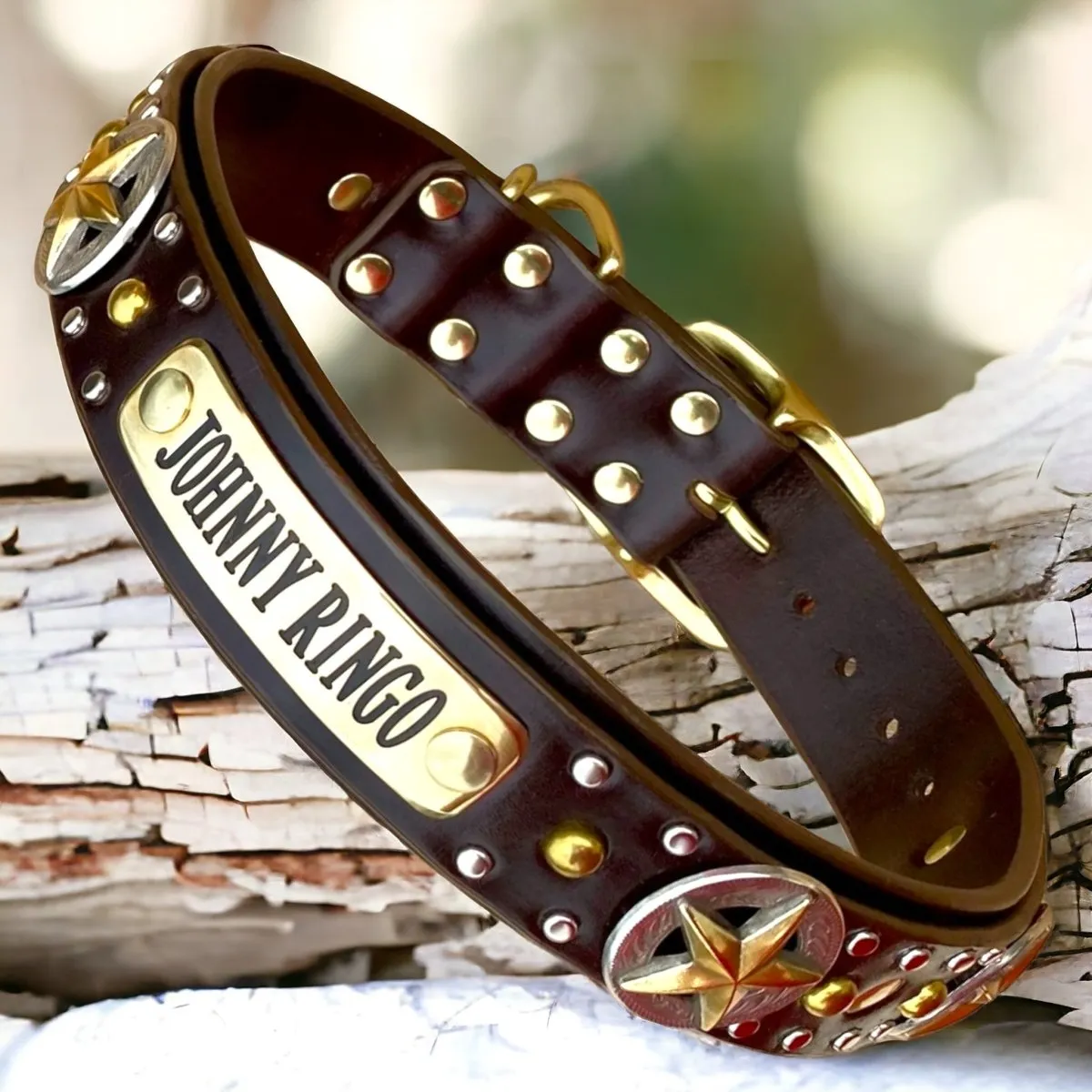 Personalized Leather Dog Collar Nashville