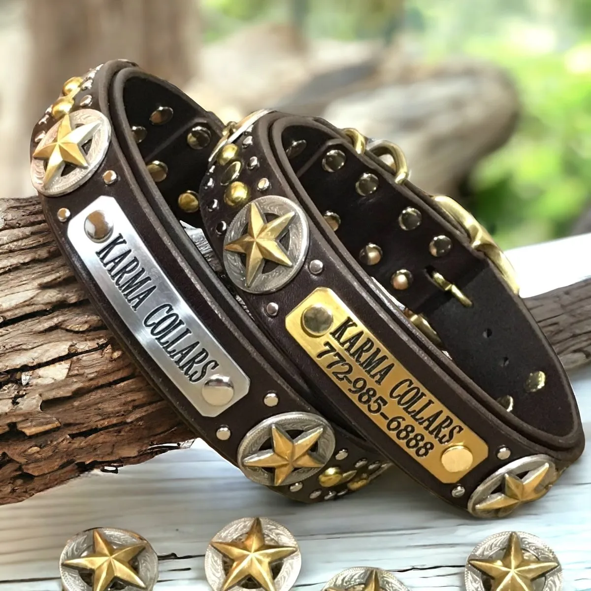 Personalized Leather Dog Collar Nashville