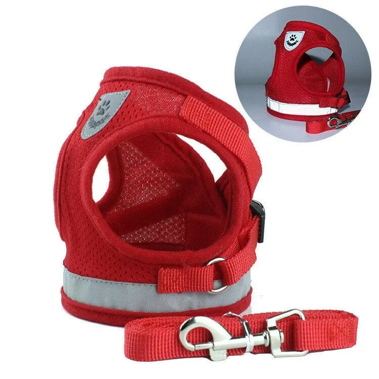 PETLAVISH™ Small Dog Adorable Harness   Leash: Breathable, Adjustable, Soft, Control Vest XXS-L