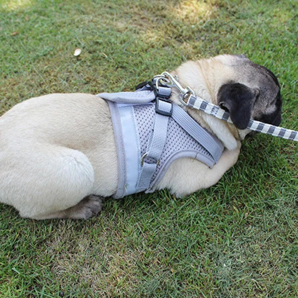 PETLAVISH™ Small Dog Adorable Harness   Leash: Breathable, Adjustable, Soft, Control Vest XXS-L