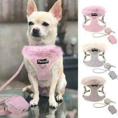 Pink Paws Pet Parade Kit: Ultimate Style & Comfort 🐾