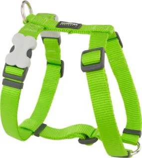 Red Dingo Harness Lime Green Medium 20mm