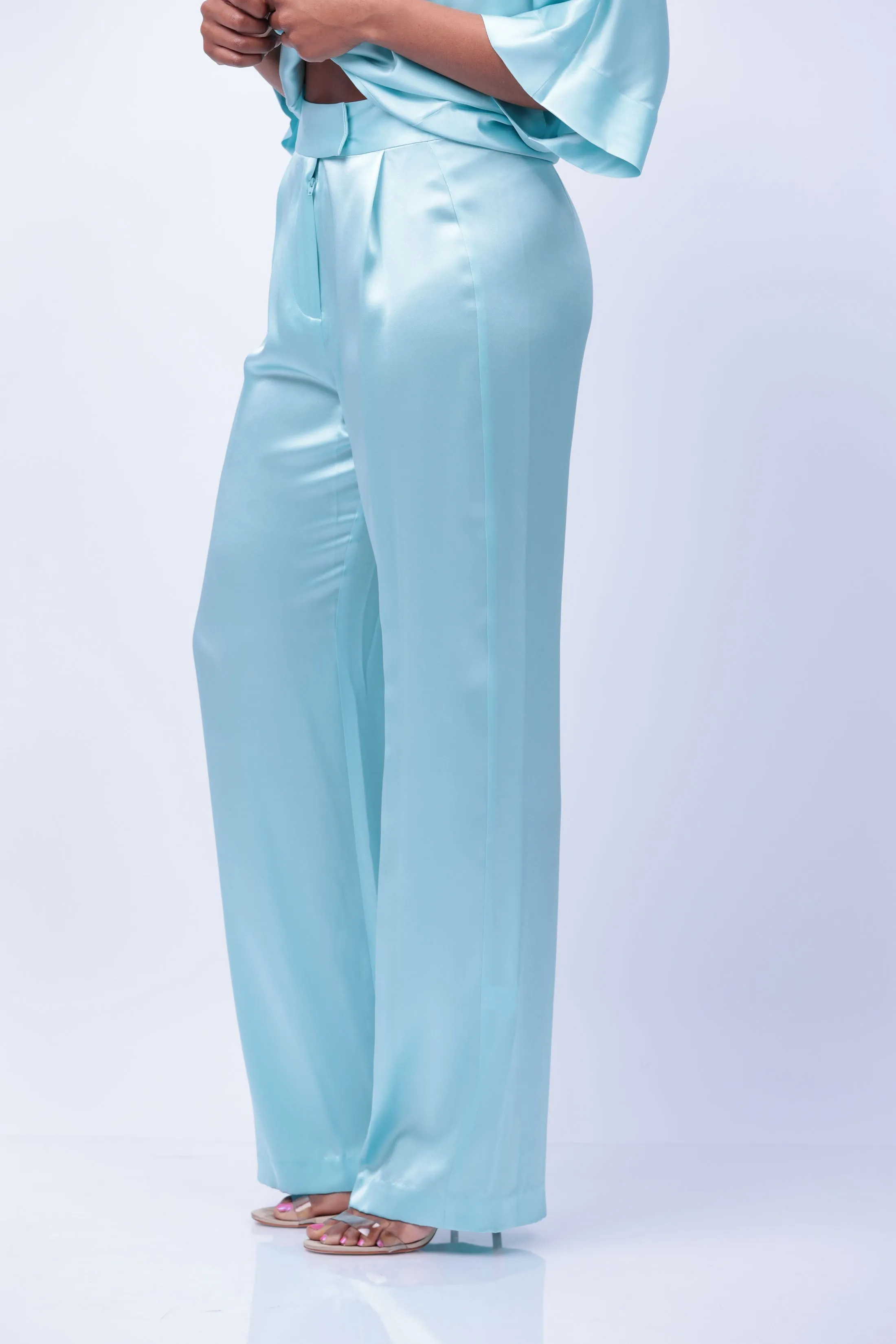 The Sei Wide Leg Pants in Baby Blue