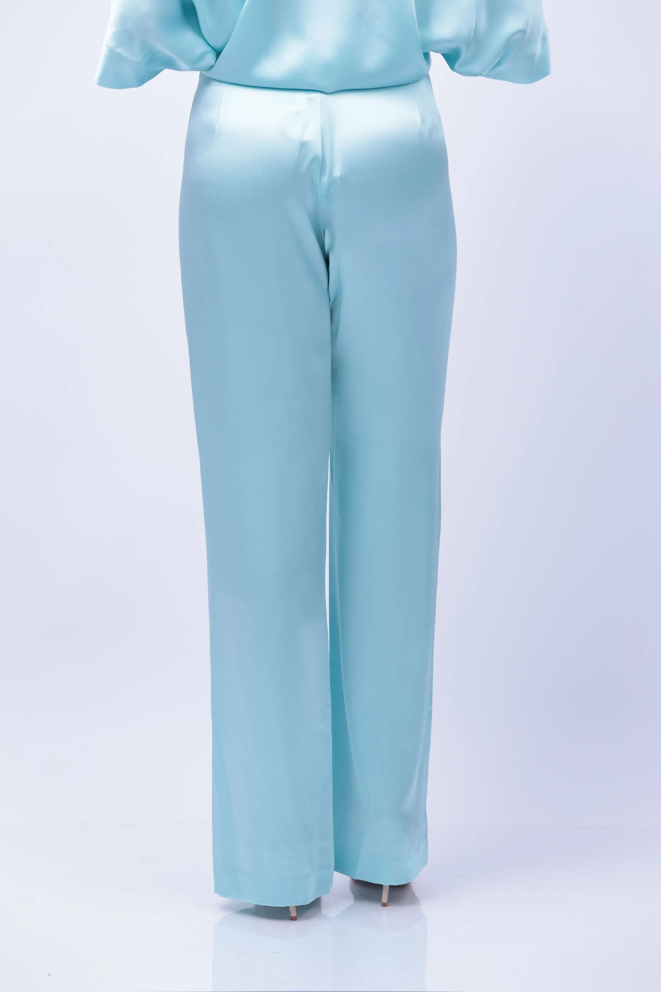 The Sei Wide Leg Pants in Baby Blue